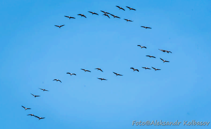 Фото галереи