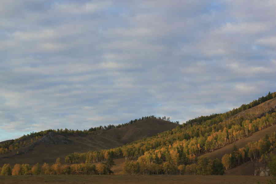 Фото галереи