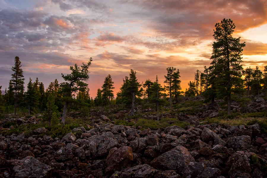 Фото галереи