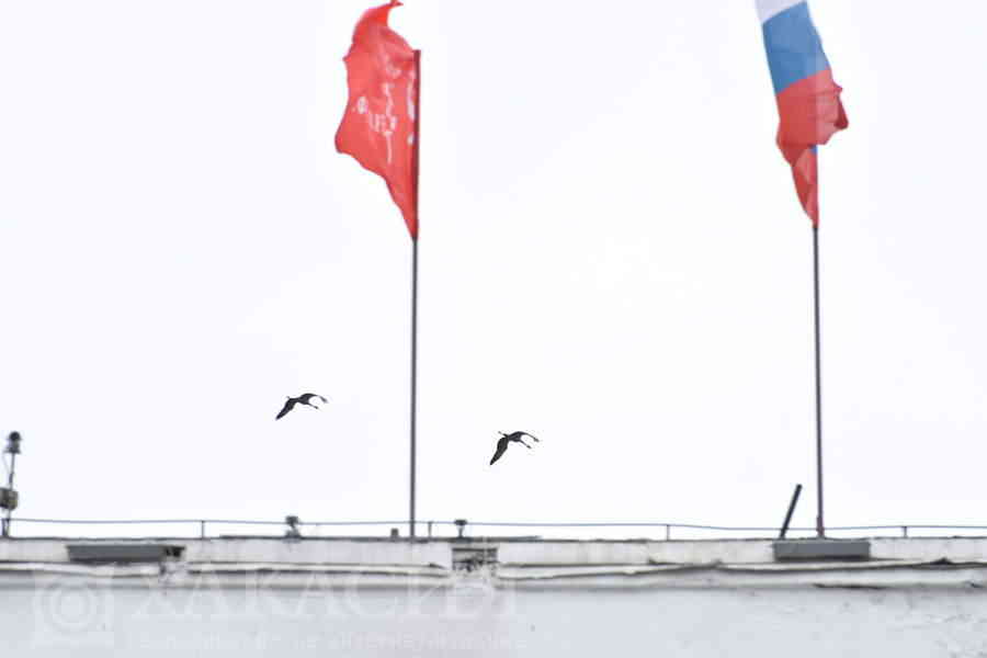 Фото галереи