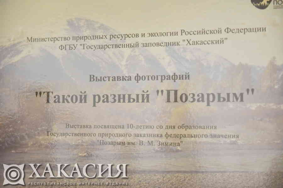 Фото галереи