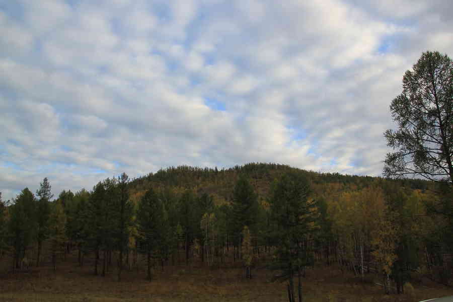 Фото галереи