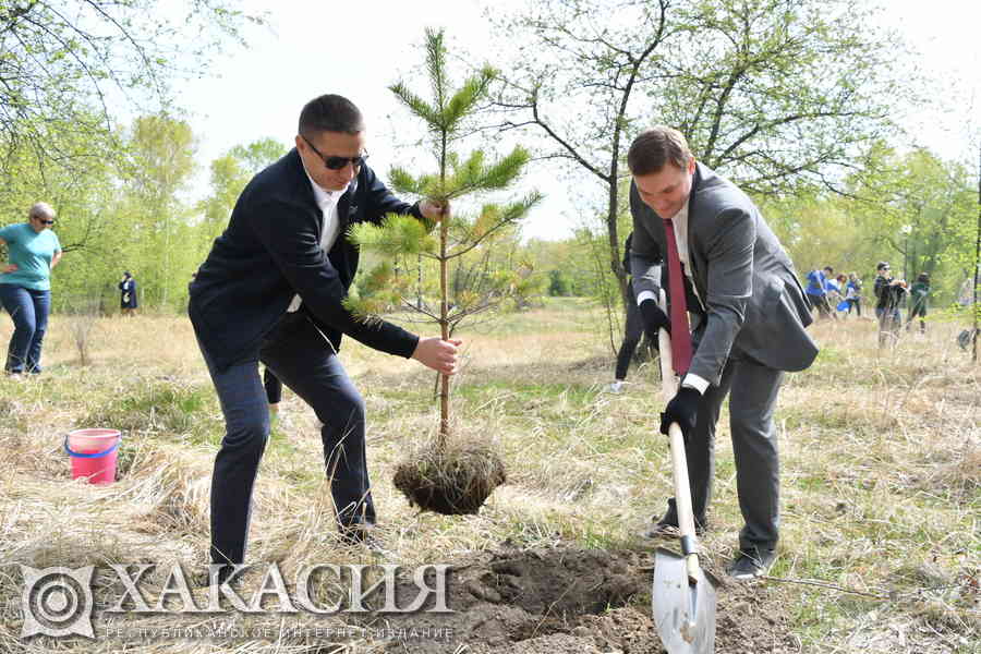 Фото галереи