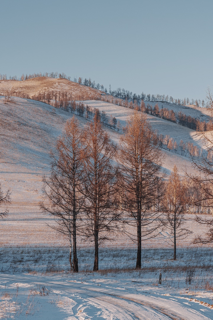 Фото галереи