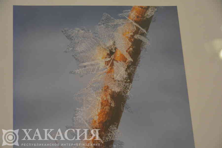 Фото галереи