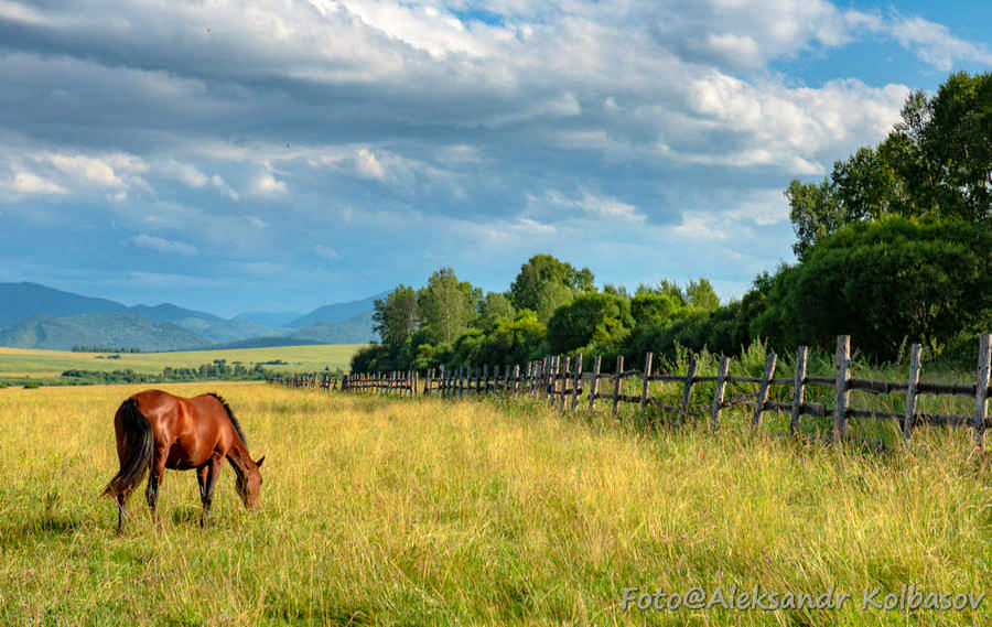 Фото галереи