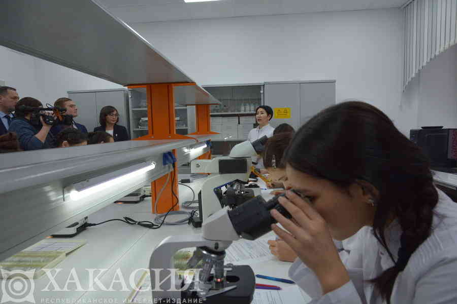 Фото галереи