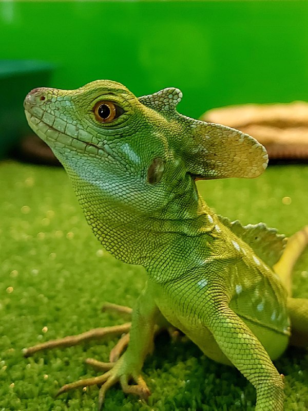 Фото галереи