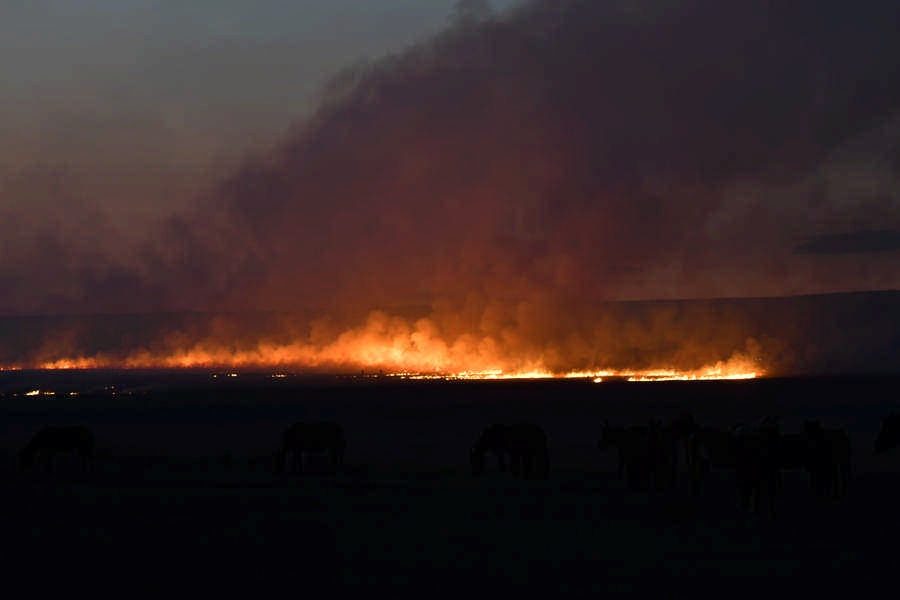 Фото галереи