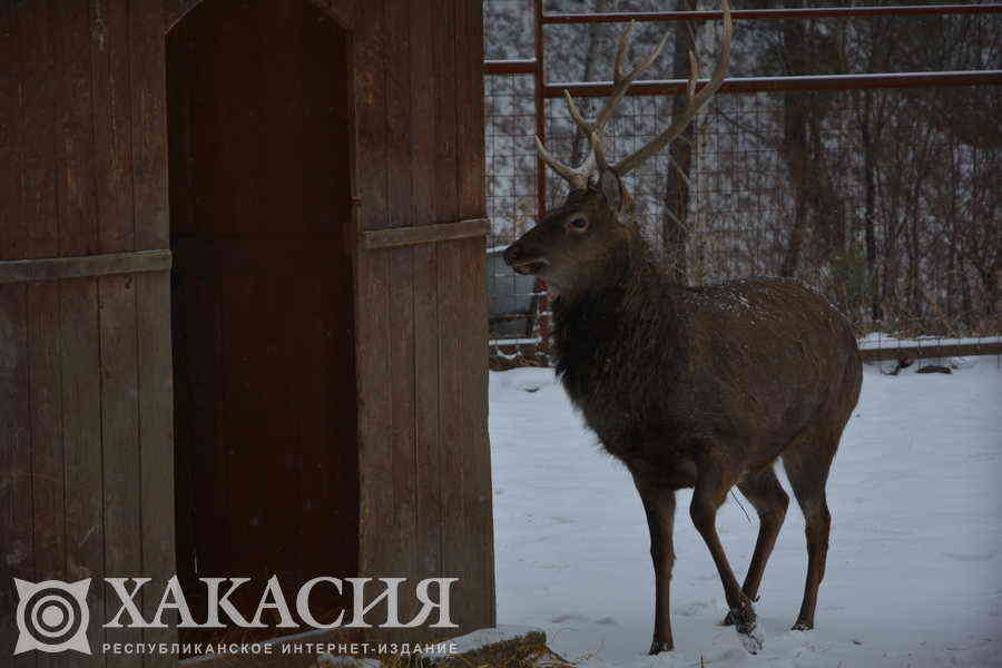 Фото галереи