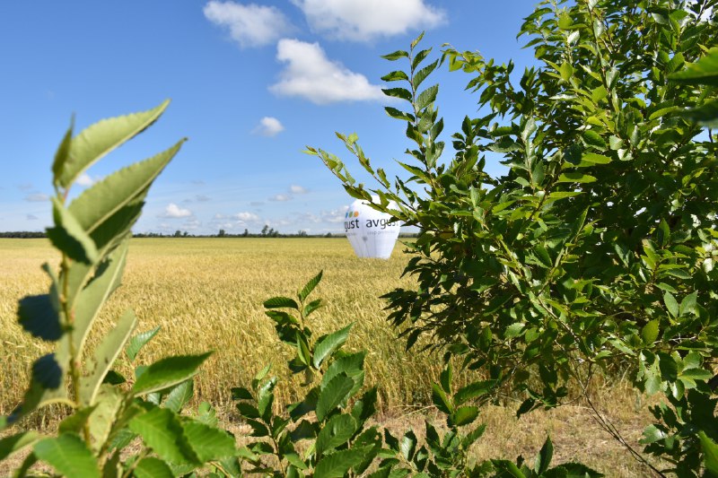 Фото галереи