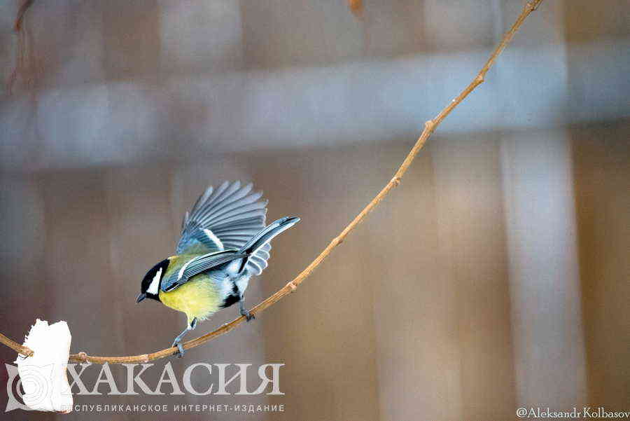 Фото галереи