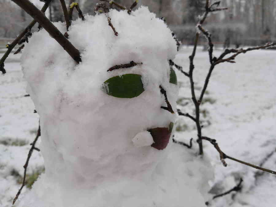 Фото галереи