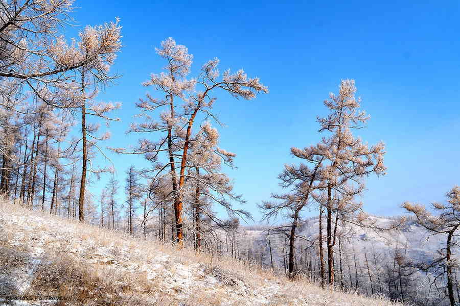 Фото галереи