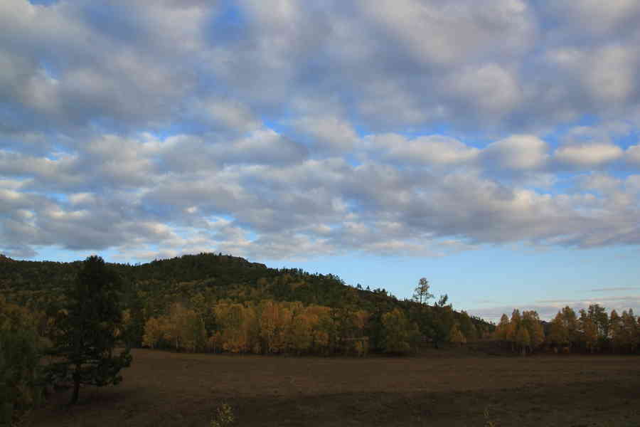 Фото галереи