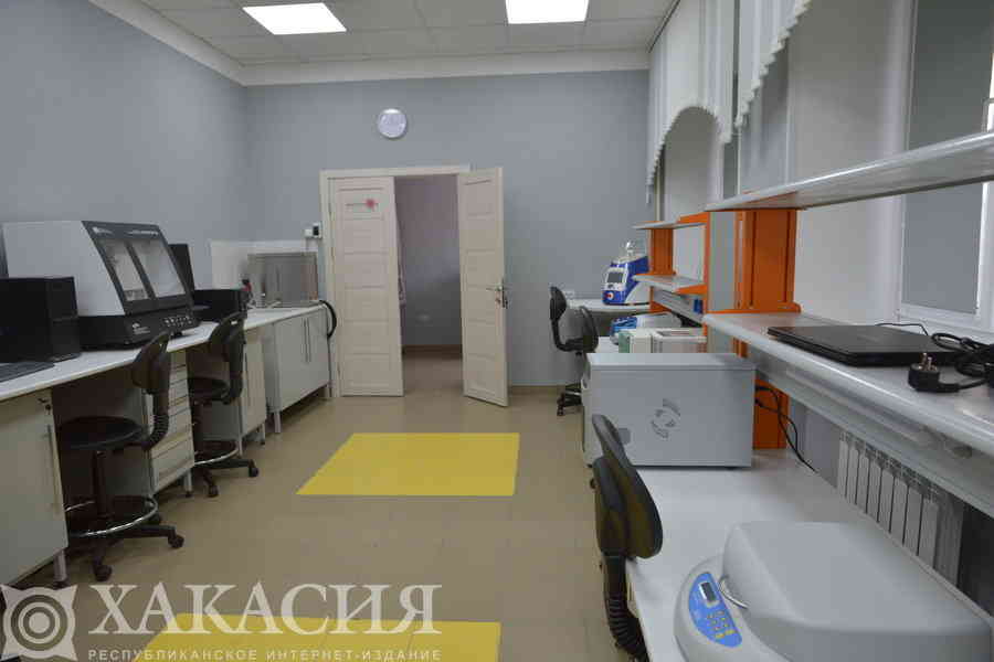 Фото галереи