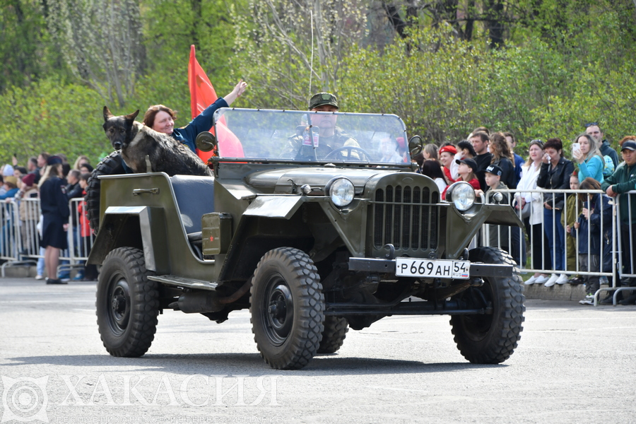 Фото галереи