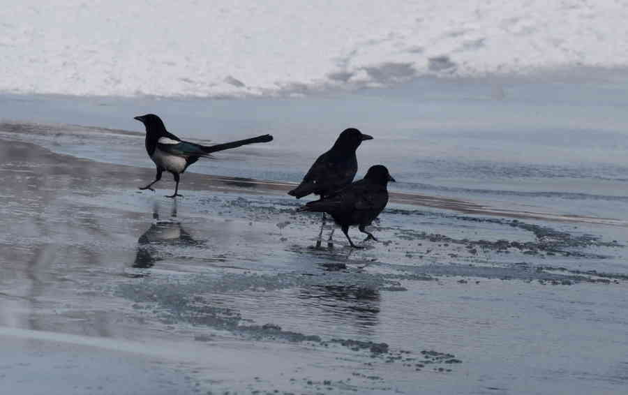 Фото галереи