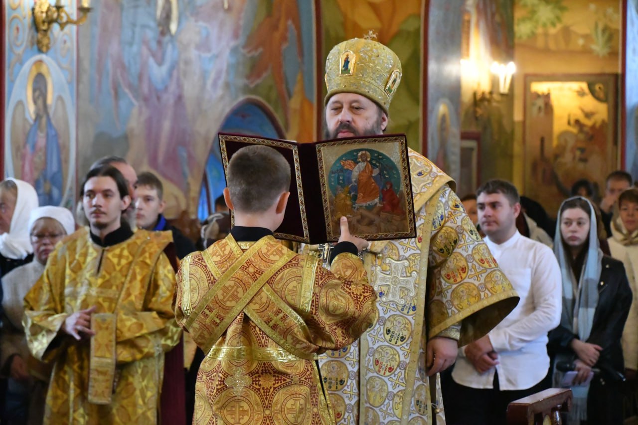 Фото галереи