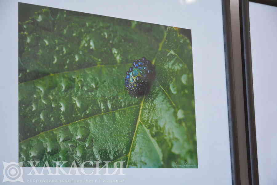 Фото галереи