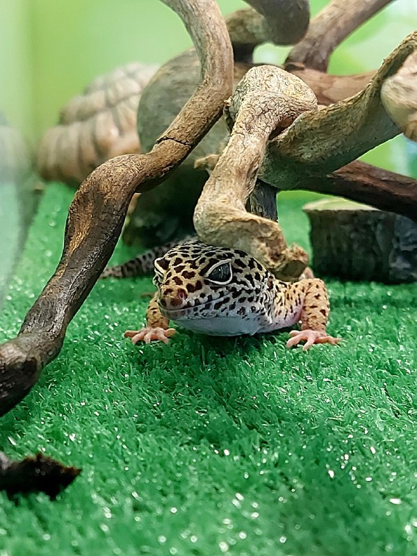 Фото галереи