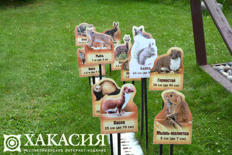 Фото галереи