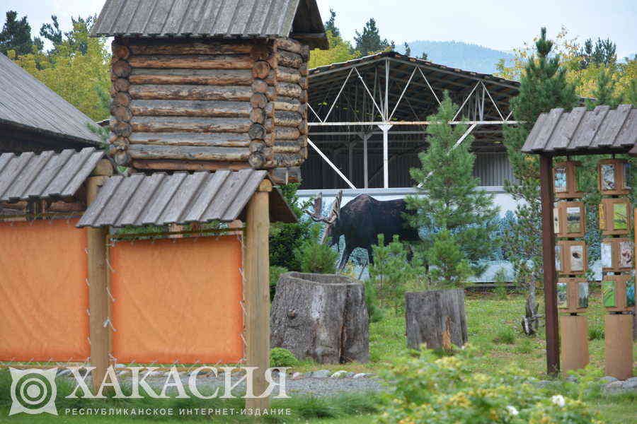 Фото галереи