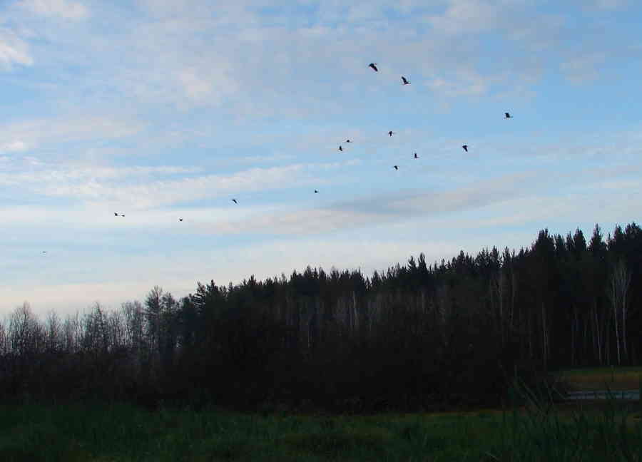 Фото галереи