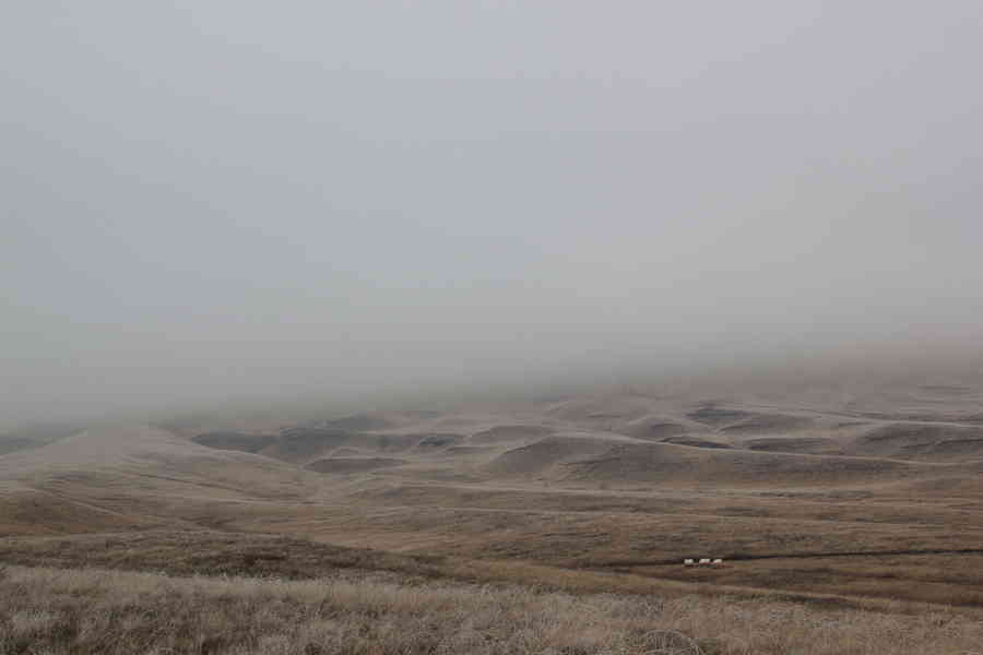 Фото галереи