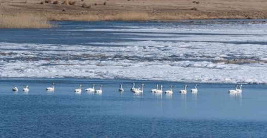 Фото галереи