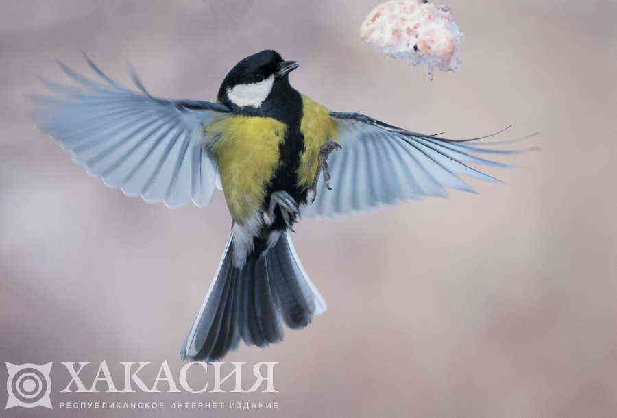 Фото галереи