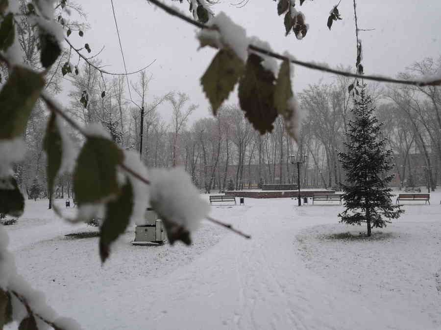 Фото галереи