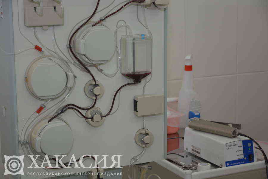 Фото галереи