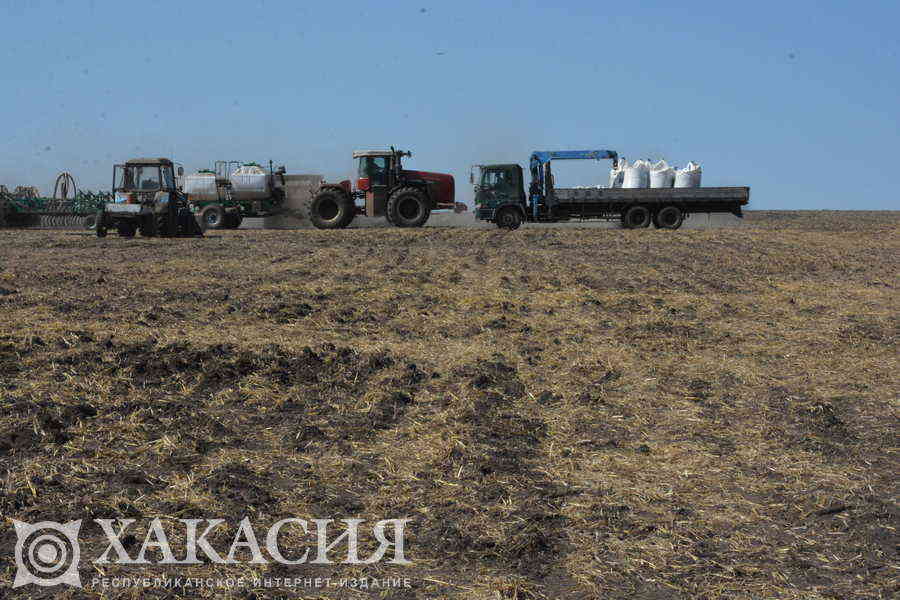 Фото галереи