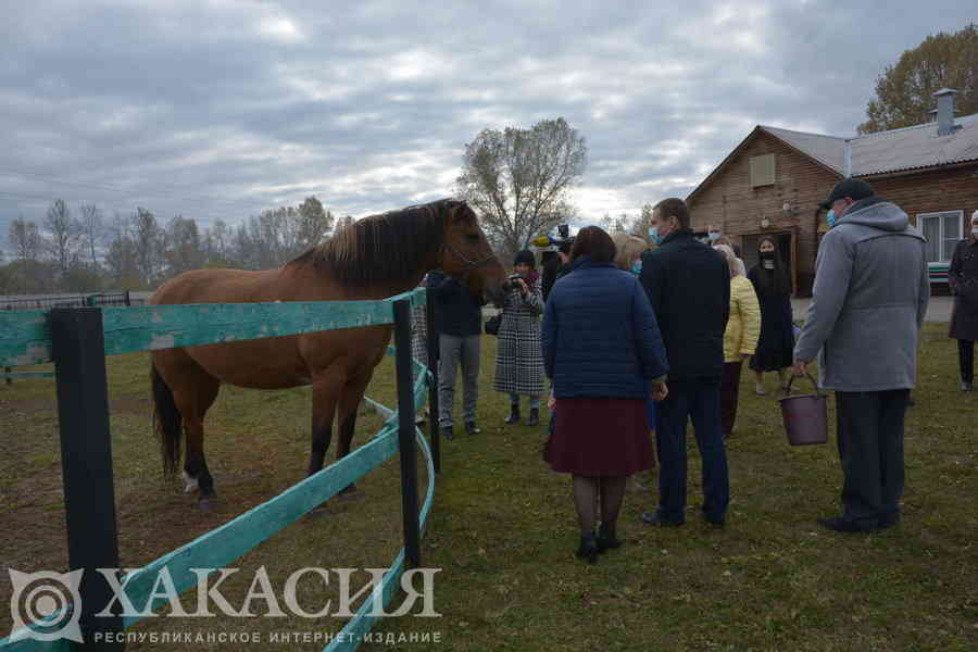 Фото галереи