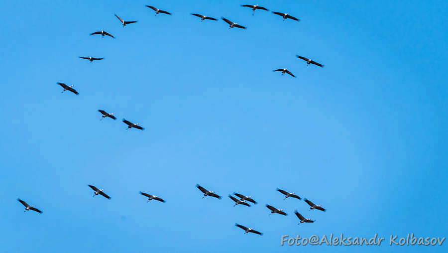 Фото галереи