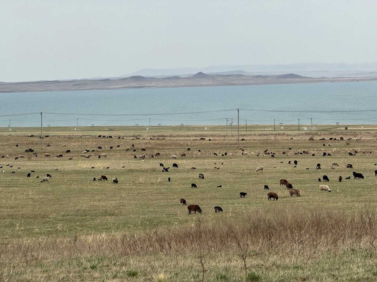 Фото галереи
