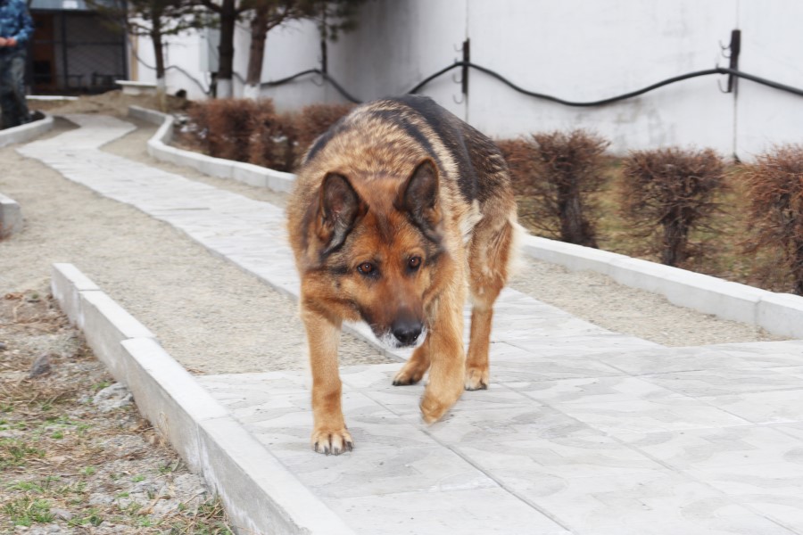 Фото галереи