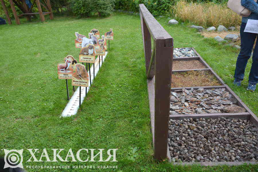 Фото галереи