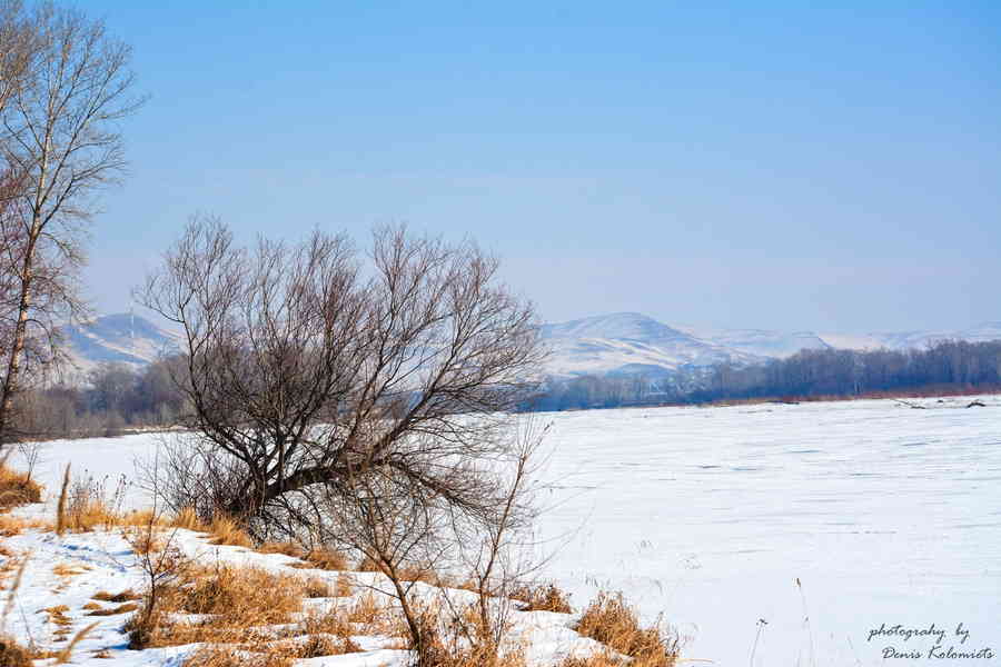 Фото галереи