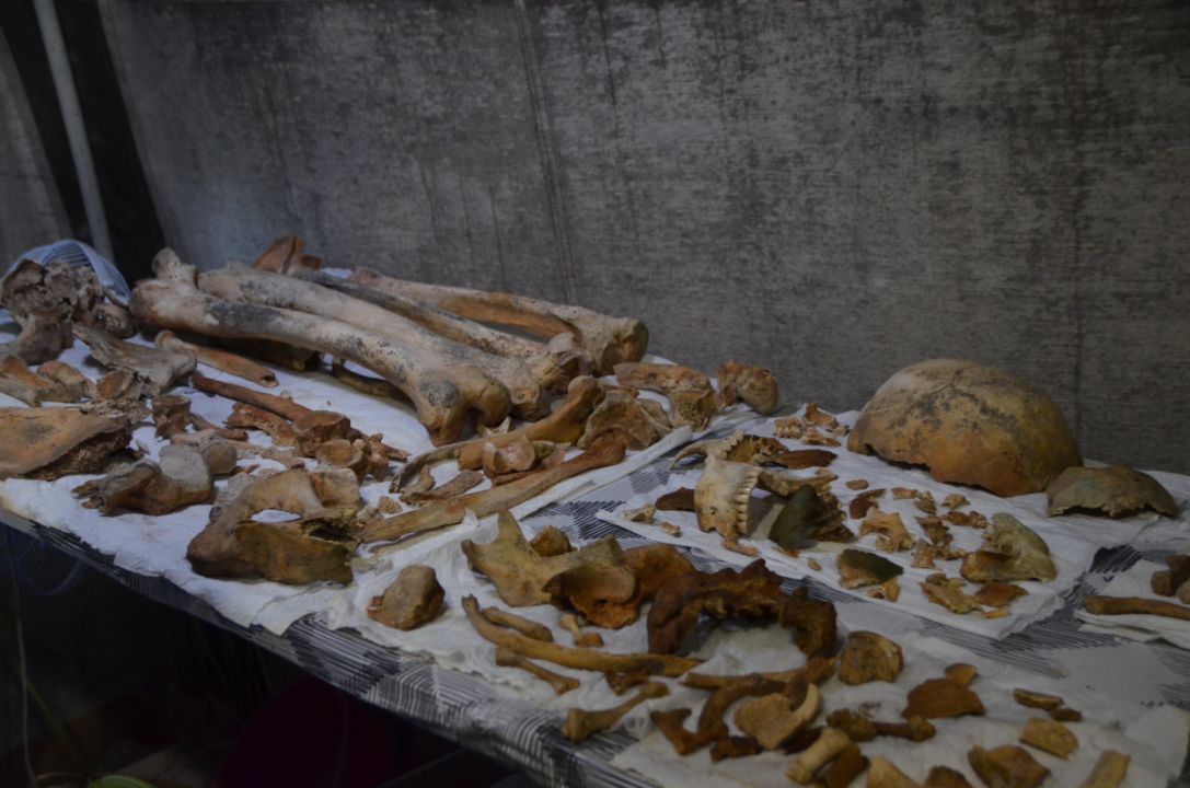 Фото галереи