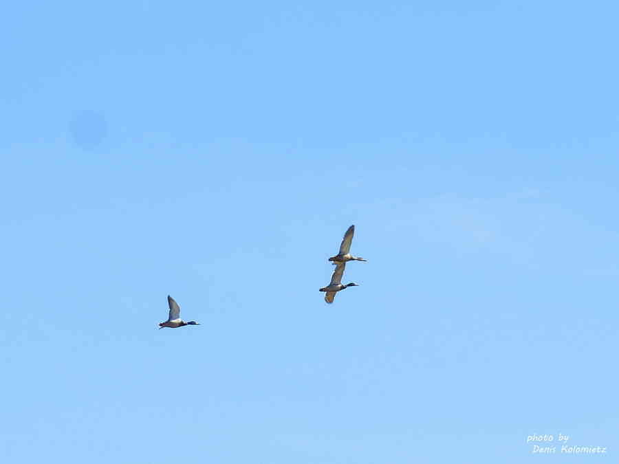 Фото галереи