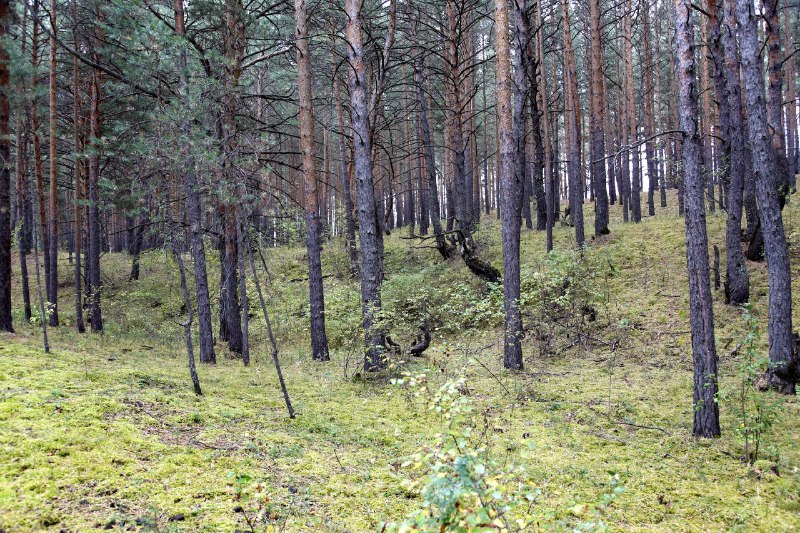 Фото галереи