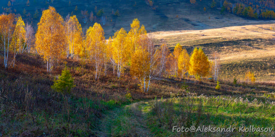 Фото галереи