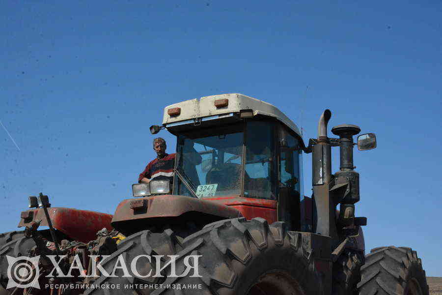 Фото галереи