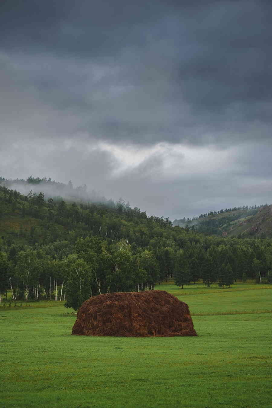 Фото галереи