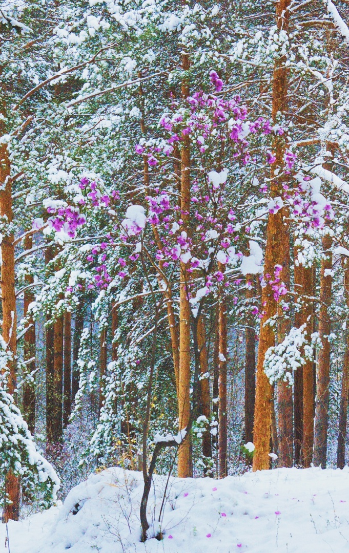 Фото галереи