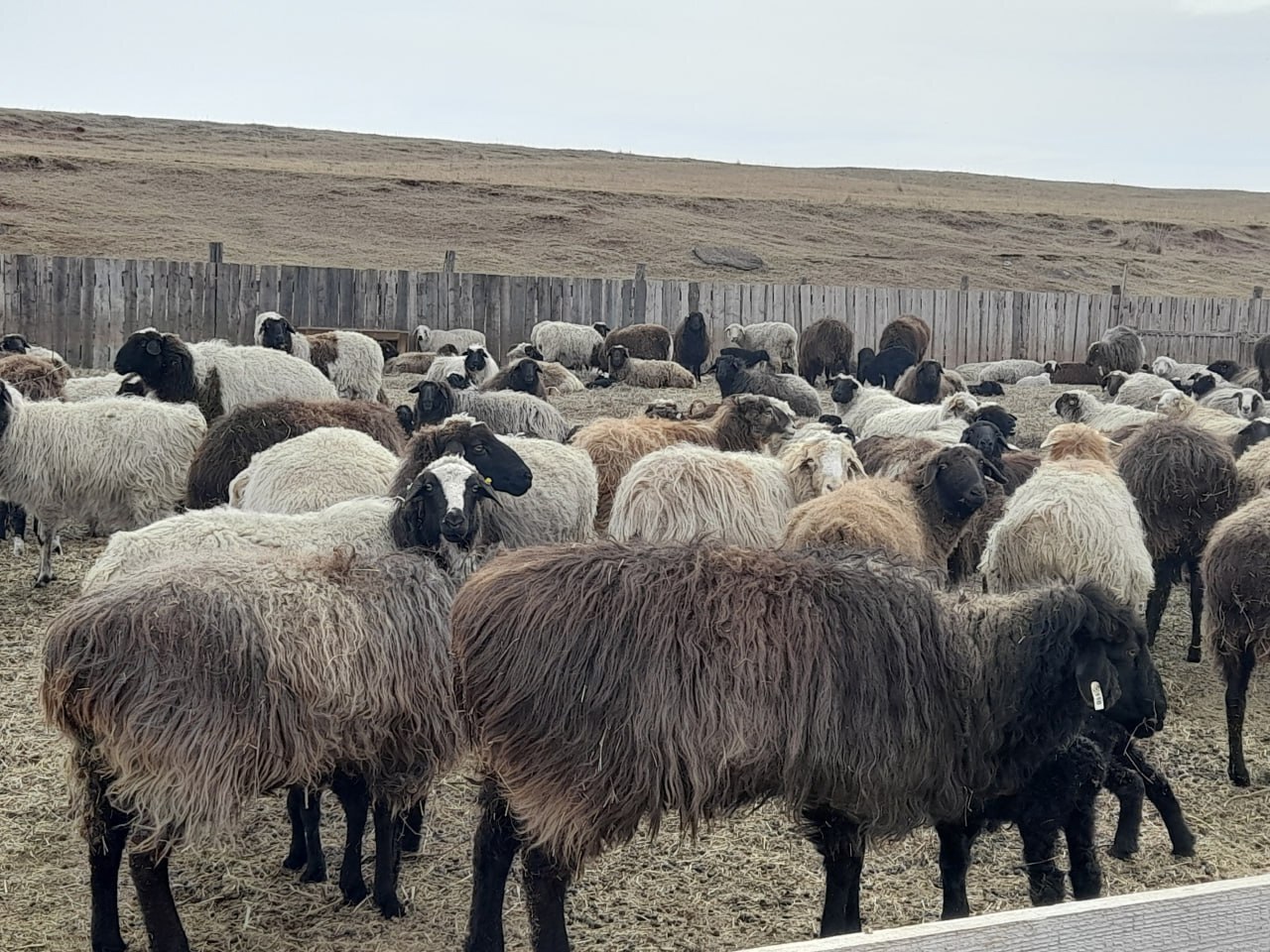 Фото галереи