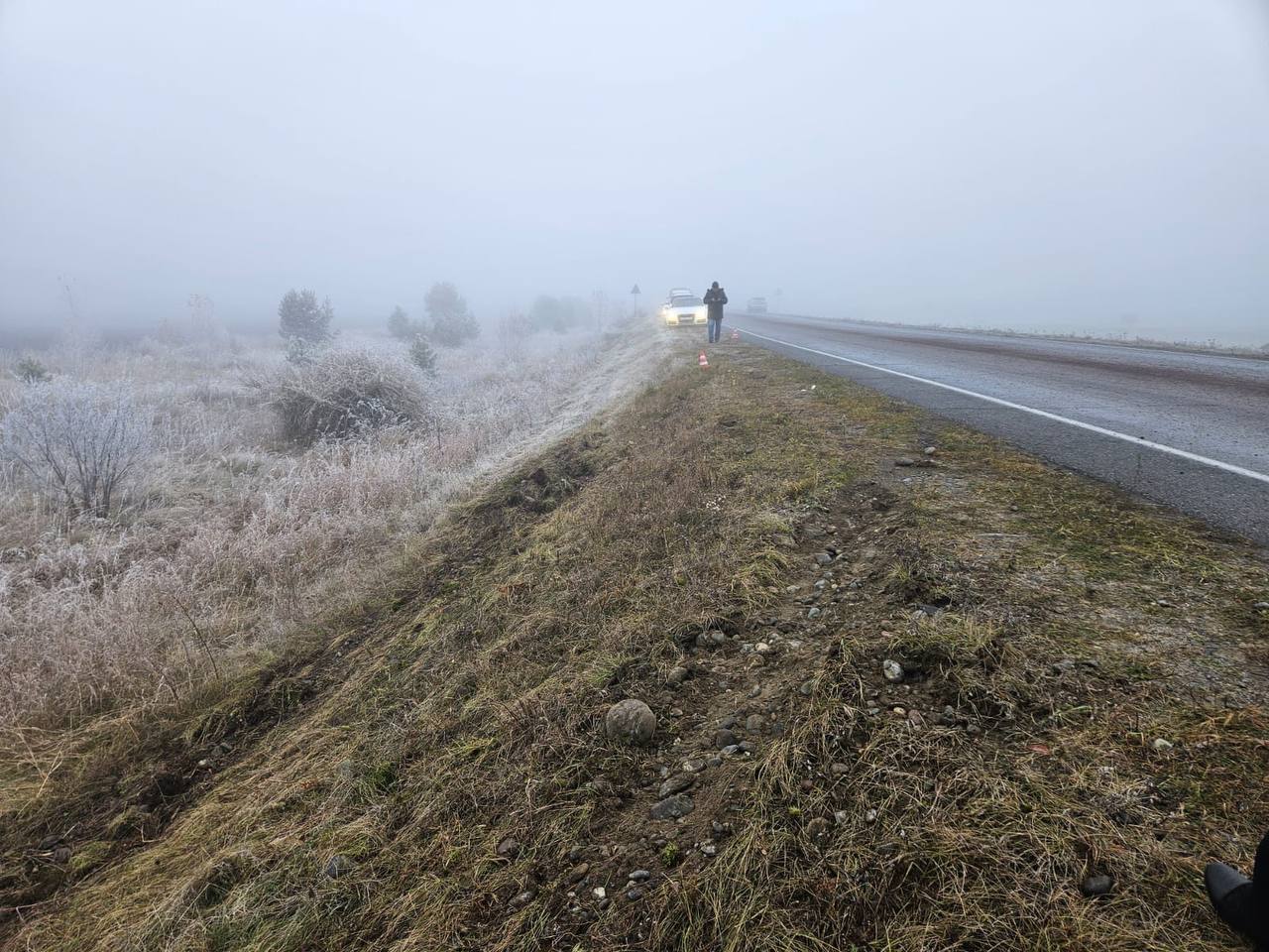 Фото галереи