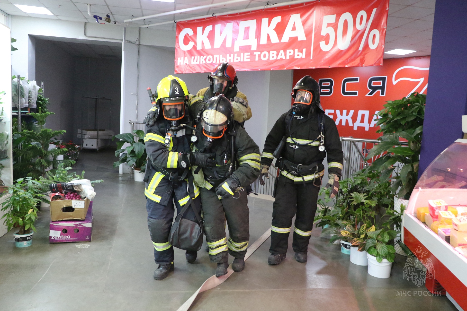 Фото галереи